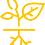 icon01
